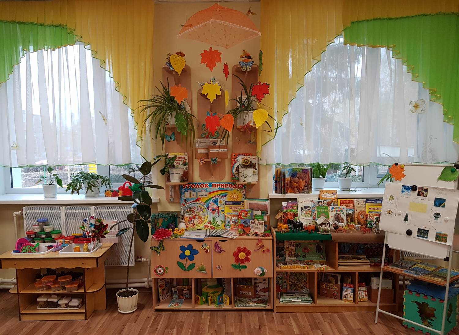 Как оформить экологический уголок в детском саду